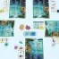 Spielmaterial: Fisch-Karten, Eier/Jungfische, Übersicht & Marker aus Flossenschlag