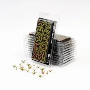 Vorderseite der Packung Gamers Grass Laser Plants Deer Fern mit sattgrünen gelaserten Farnpflanzen