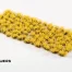 Nahaufnahme der gelben Blüten-Grasbüschel Gamers Grass Broom Flowers auf Dioramen und Bases