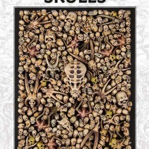 Citadel Skulls Box 340 Kunststoff Schädel für Tabletop und Gelände